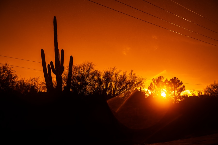 Saguaro silhouetted against a deep orange desert sunset